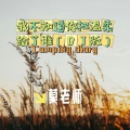 我不知道你把温柔给了谁（DJ版）