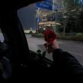 四点的海棠花未眠