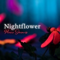 Nightflower