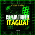 CULPA DA TROPA DE ITAGUAÍ (Explicit)