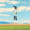 巨越 - 飞鸟