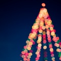 Christmas Favourites、Christmas Piano Instrumental、Holiday Jazz Ensemble - Family Piano