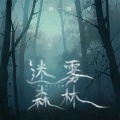 迷雾森林