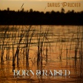 Darius Rucker - Homegrown Honey