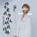王娜 - 你不爱我为什么跟我结婚