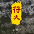 孟维来 - 符火