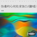 新宇 - 伤痛的心何处安放DJ