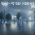 DJ小虎 - 贵州今夜雨纷纷