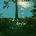 格雷西西西 - 如果你有时间