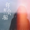 你好会骗