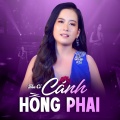 Phuong Cam Ngoc、Hồ Minh Đương - Tân Cổ Sao Em Làm Ngơ
