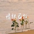 卢润泽 - 情根已拔
