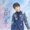 张云帆(Freddy) - 勿忘草