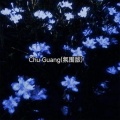 Chu Guang (氛围版)