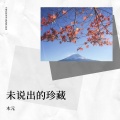 木元 - 未说出的珍藏