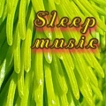 Sleep music