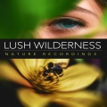 Nature Recordings - Wet Windows