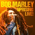 Bob Marley - Revolution