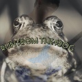Rawesler - Frog