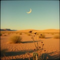 Rachid Boutaicha、Imane、Oud - أغنية البساتين