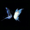 DJ懒洋洋 - 空城 (DJ懒洋洋 remix)