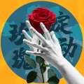 尘韵清魂の杂货铺、老虎欧巴 - 玫瑰绽动