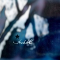 Standstill - Paint