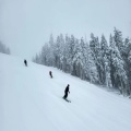 Poiana Brasov (Explicit)