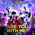 Big LAJ - F 12