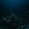 Coastal Sounds、Musica Relajante、Snoozify - Delayed Waves