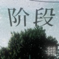 小洛龙王 - 阶段