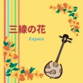 Cojaco - 三線の花