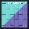 DJ西鱼 - 卡农 (Live)