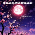凌晨四点的海棠花无言(误闯)