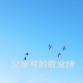 吴懿炫 - 父亲写的散文诗