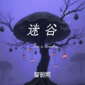 智韵熙 - 迷谷
