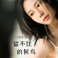 向思思 - 留不住的候鸟
