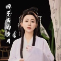 丫蛋 - 回不去的岁月