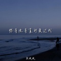 段晓晓 - 你有没有真的爱过我