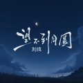 望不到月圆