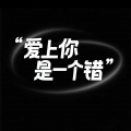 王木木 - 爱上你是一个错