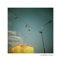 Oscar / Same - Neighbourhood