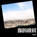 你的模样