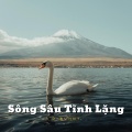 D - Bunny - Sông Sâu Tĩnh Lặng