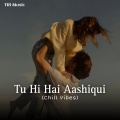 Tri Music、Arijit Singh、Palak Muchhal、Palash Muchhal - Tu Hi Hai Aashiqui (Chill Vibes)