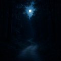 25 Ambient Nature Songs: Peaceful Pathways