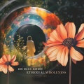 Ethereal Wholeness