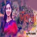আমি তোমার দিবানা আমায় ভুলে যাওনা