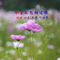 何仙子 - 今生不想错过你DJ