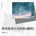 老歌六六 - 你看你看月亮的脸